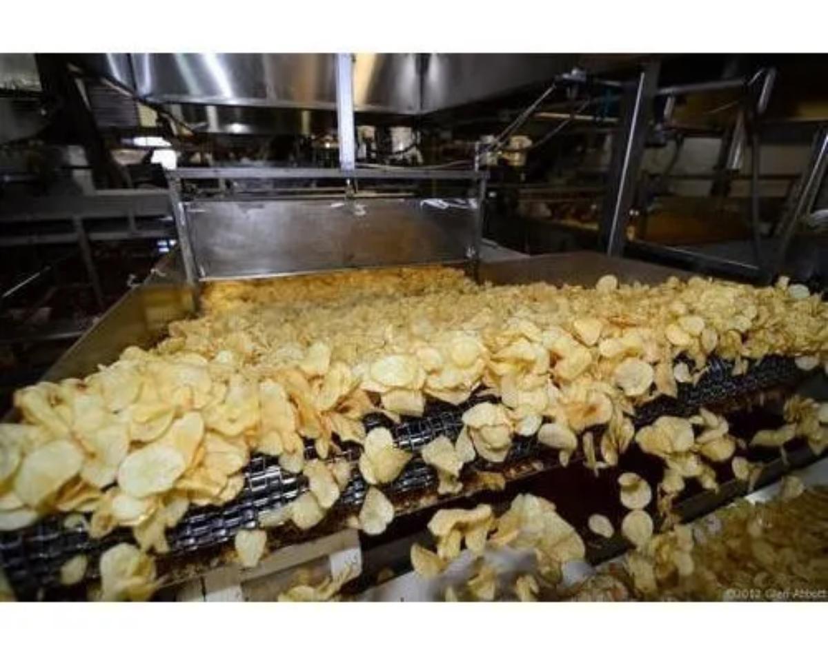 Potato Chips Business 4 Potato Chips Business 4