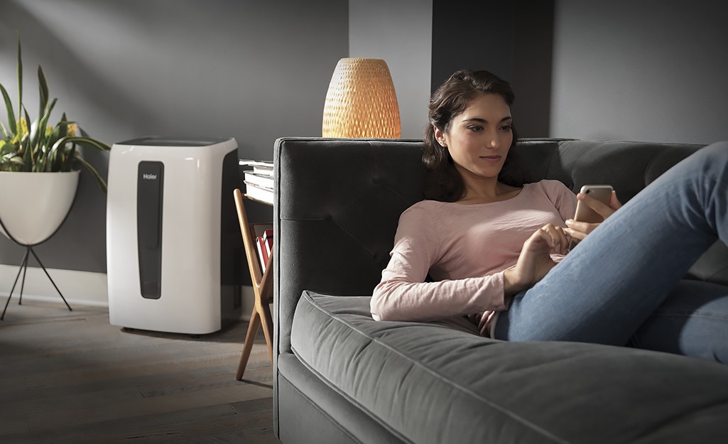 Best Dehumidifier Options