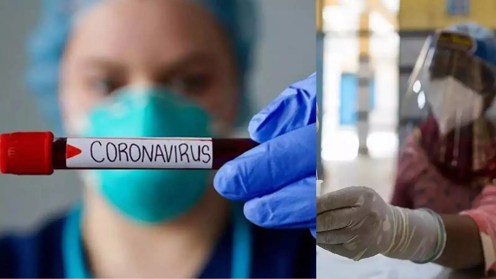 Corona Virus