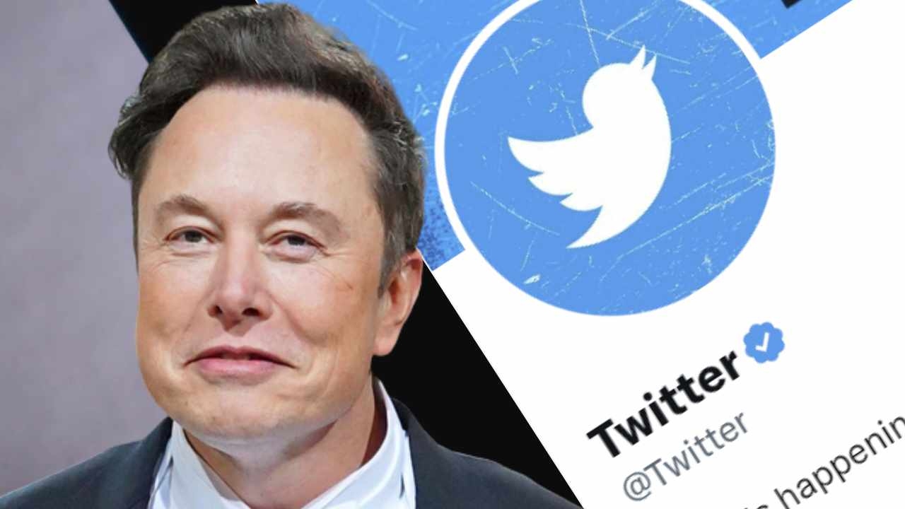 Elon Musk Digital Gift
