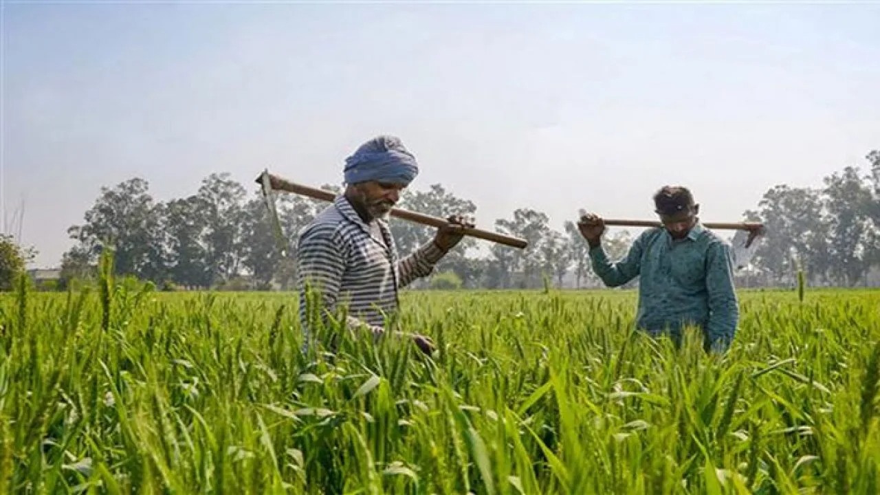 PM Kisan