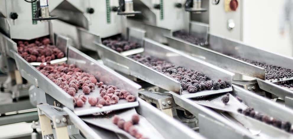 Food Processing Sector