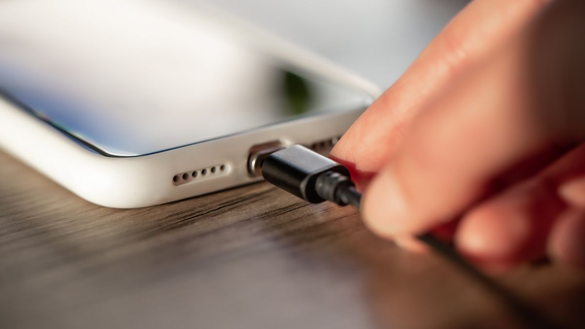 Mobile Charger
