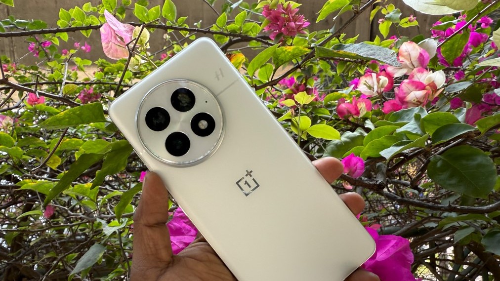 OnePlus 13s OnePlus 13s