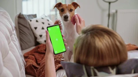 Petphone