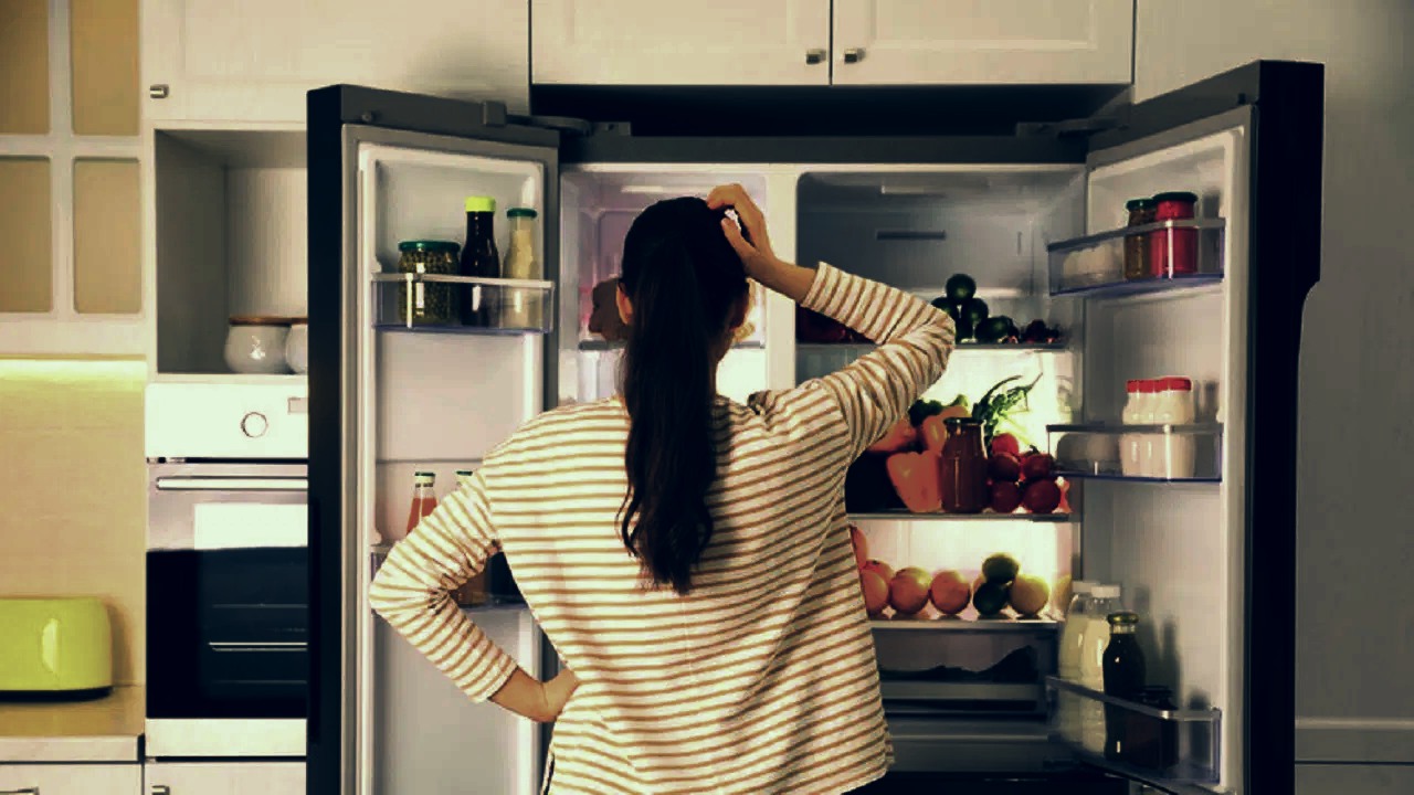 Refrigerator Monsoon Care Tips