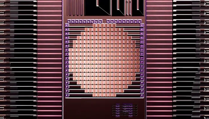 Taara Chip