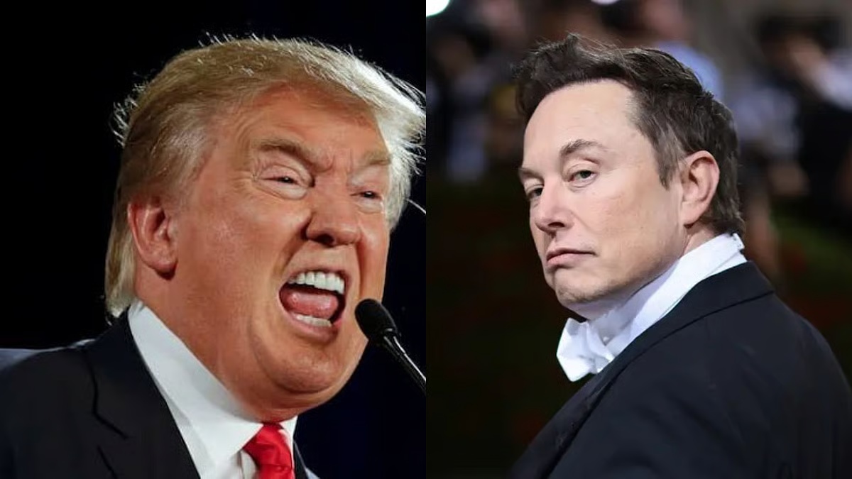 Trump And Musk Fight